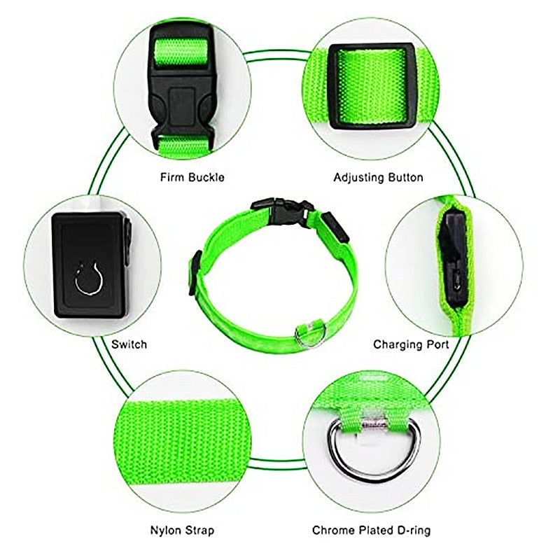 Rechargeable LED Dog Collar with Flashing Lights (Small Dog)