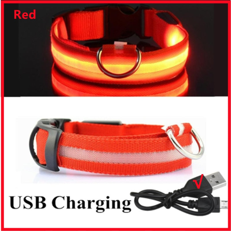 Rechargeable LED Dog Collar with Flashing Lights (Small Dog)