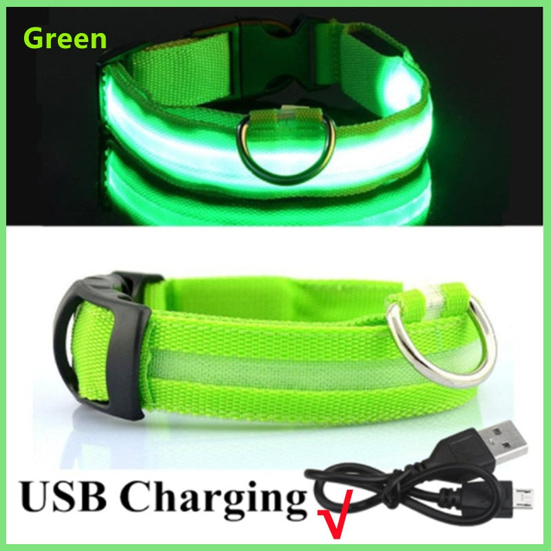 Rechargeable LED Dog Collar with Flashing Lights (Small Dog)