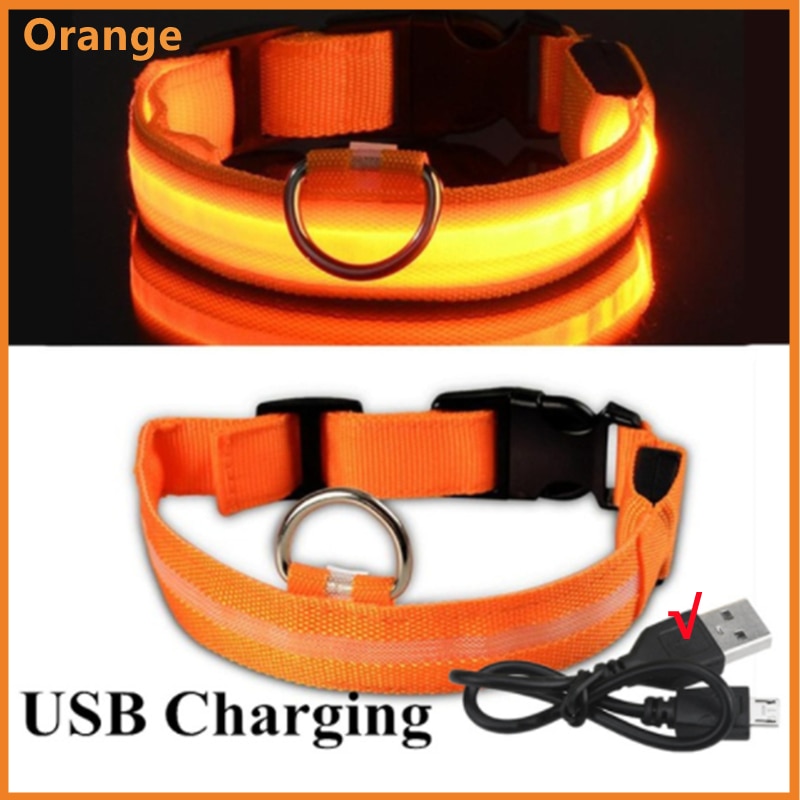 Rechargeable LED Dog Collar with Flashing Lights (Small Dog)