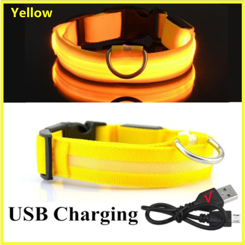 Rechargeable LED Dog Collar with Flashing Lights (Small Dog)
