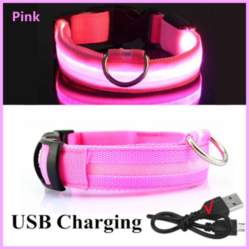 Rechargeable LED Dog Collar with Flashing Lights (Small Dog)