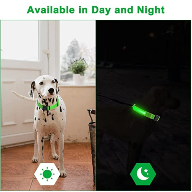 Rechargeable LED Dog Collar with Flashing Lights (Small Dog)