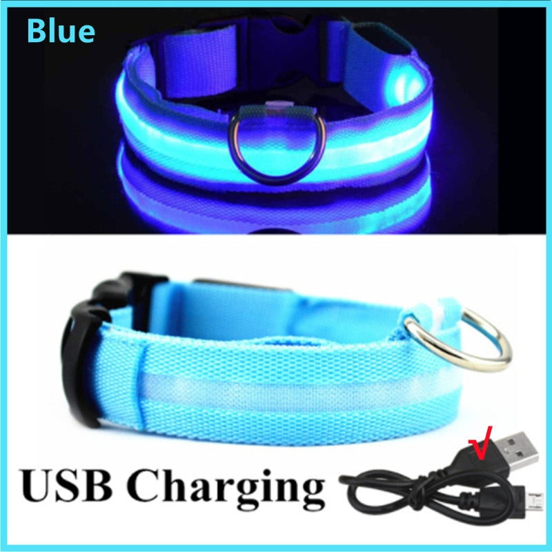 Rechargeable LED Dog Collar with Flashing Lights (Small Dog)