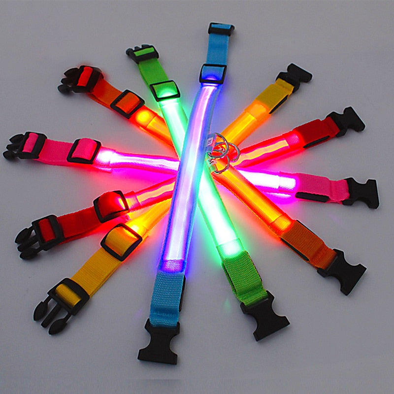 Rechargeable LED Dog Collar with Flashing Lights (Small Dog)