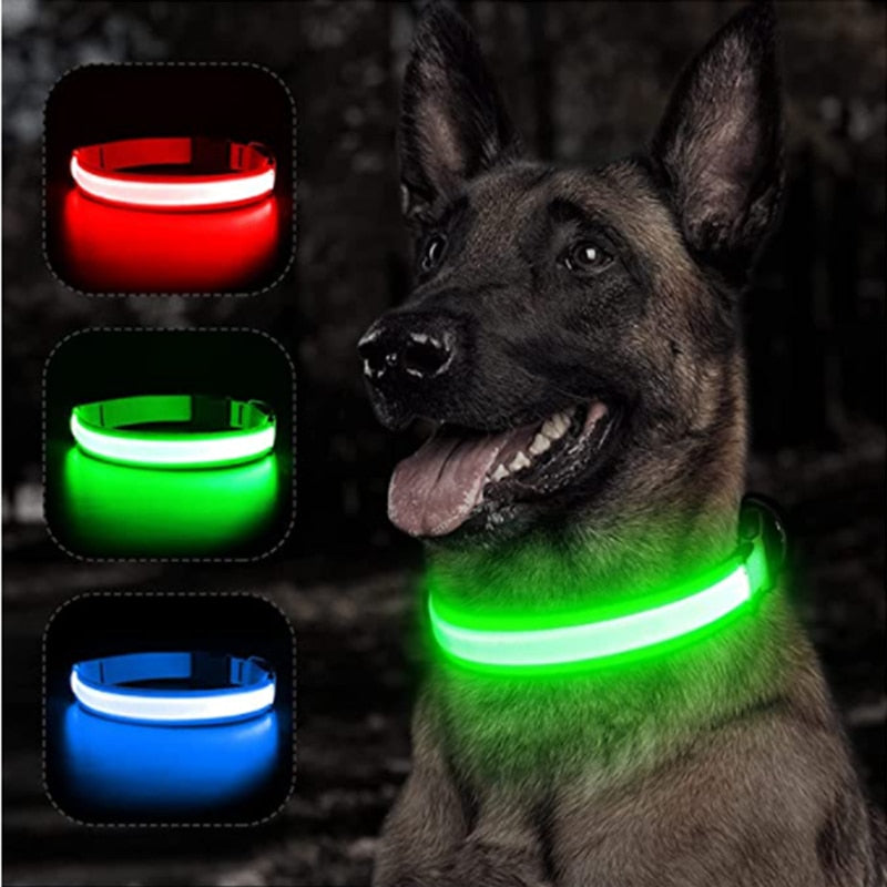 Rechargeable LED Dog Collar with Flashing Lights (Small Dog)
