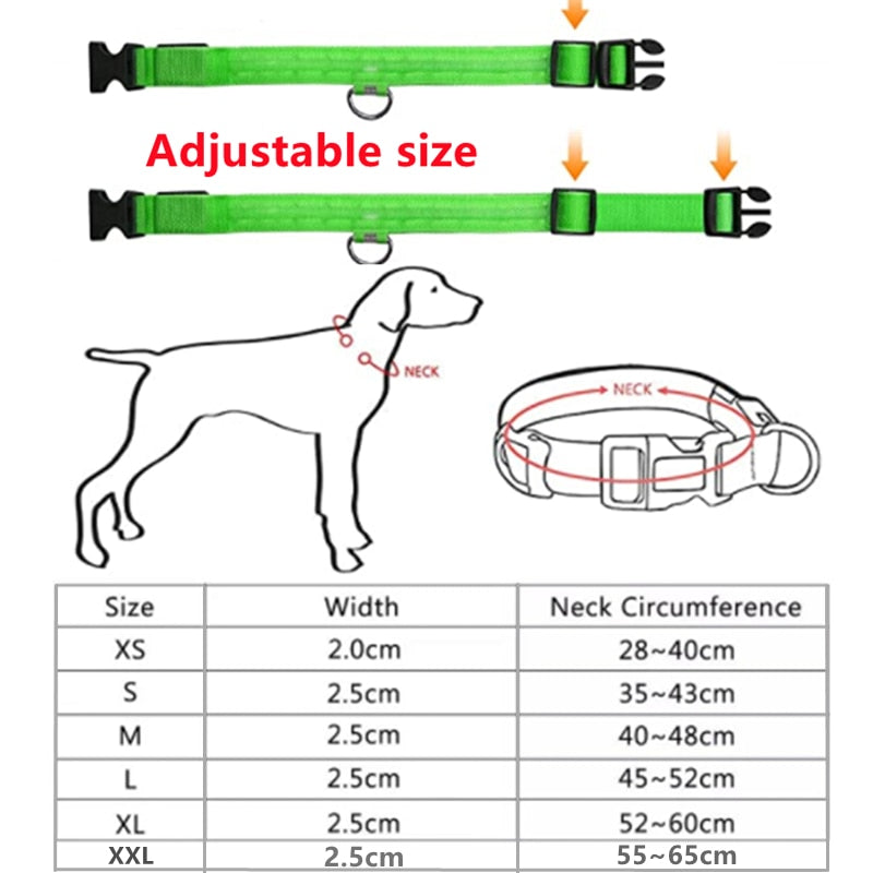 Rechargeable LED Dog Collar with Flashing Lights (Small Dog)